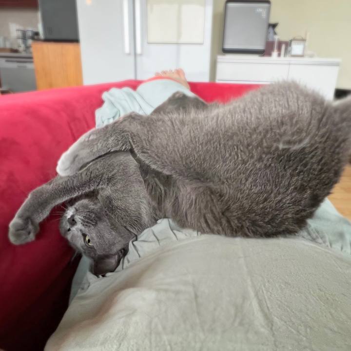 Ae2112d8 df6e 4648 99f2 7e49c983b2e0 1651033311885