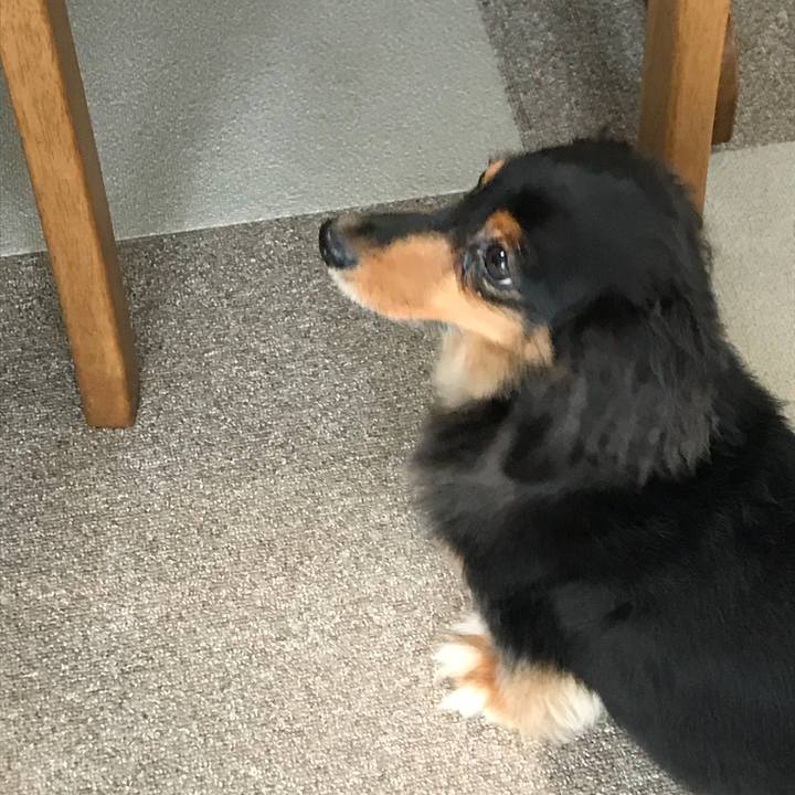 Ae21234c d897 4190 a839 7306dfe03e9f 1530828750864