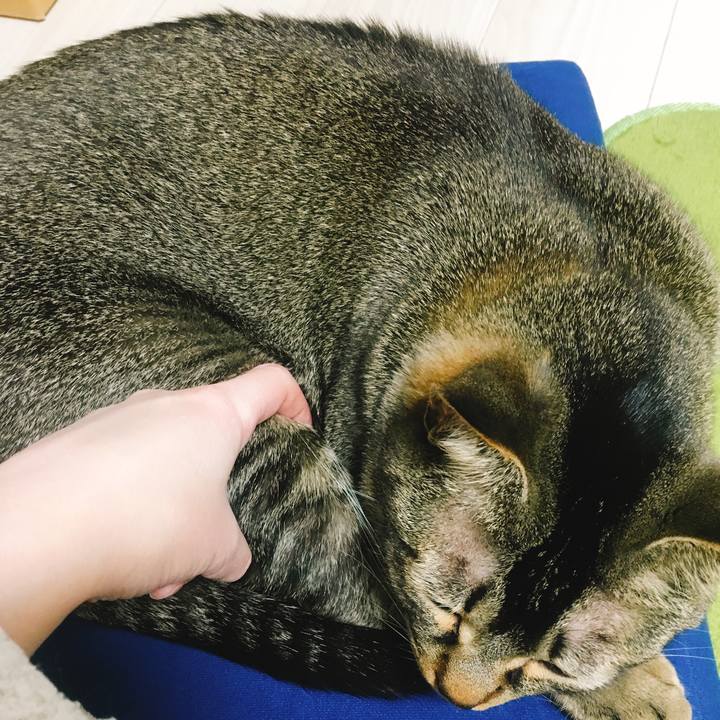 Ae212530 7cc5 40e3 9336 c894ff4eedc2 1526624844023