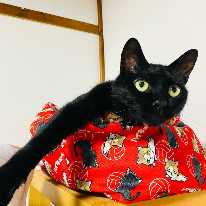 Ae214fa5 27c3 44d9 bfdc 8f1dcbed45d9 1718922061247