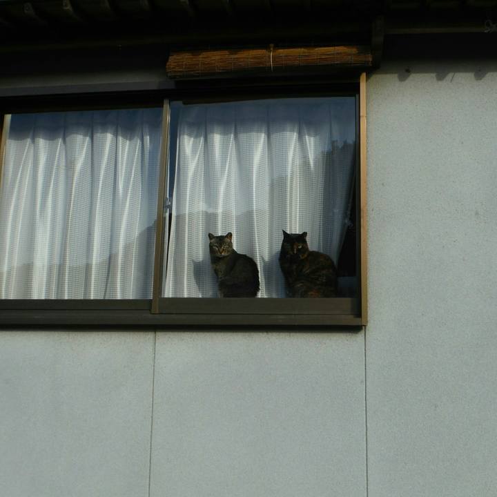 Ae216892 b719 4f9e 8d62 302a8d9642fe 1519177085063