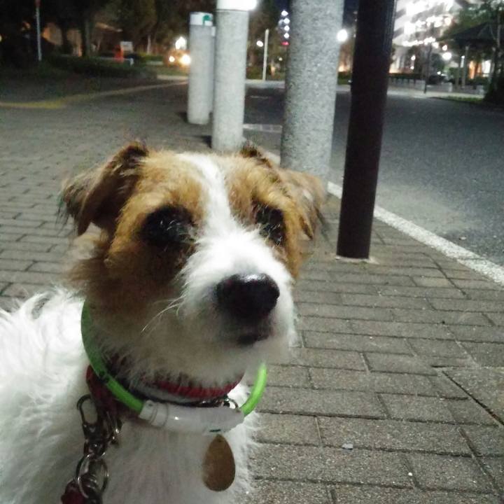 Ae216d99 3ec9 4940 ad08 927d9be18ce6 1540212766266