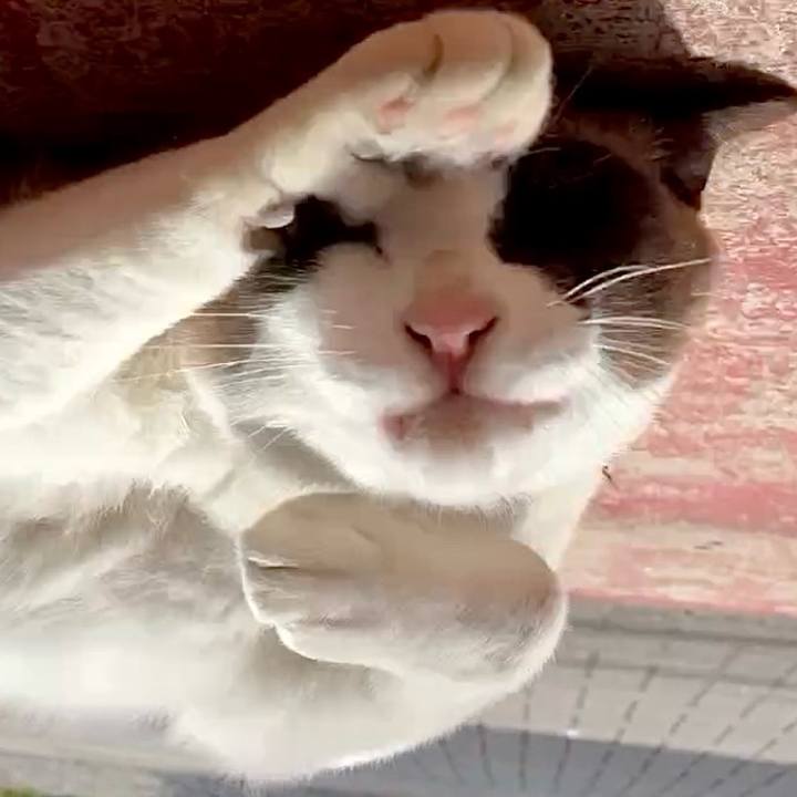 Ae217211 055e 43ec 921f b96b25e70d42 1746410776293