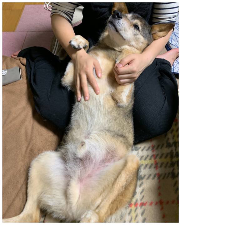 Ae219a45 62bd 4052 b6ca d3666b0199a6 1563358813177