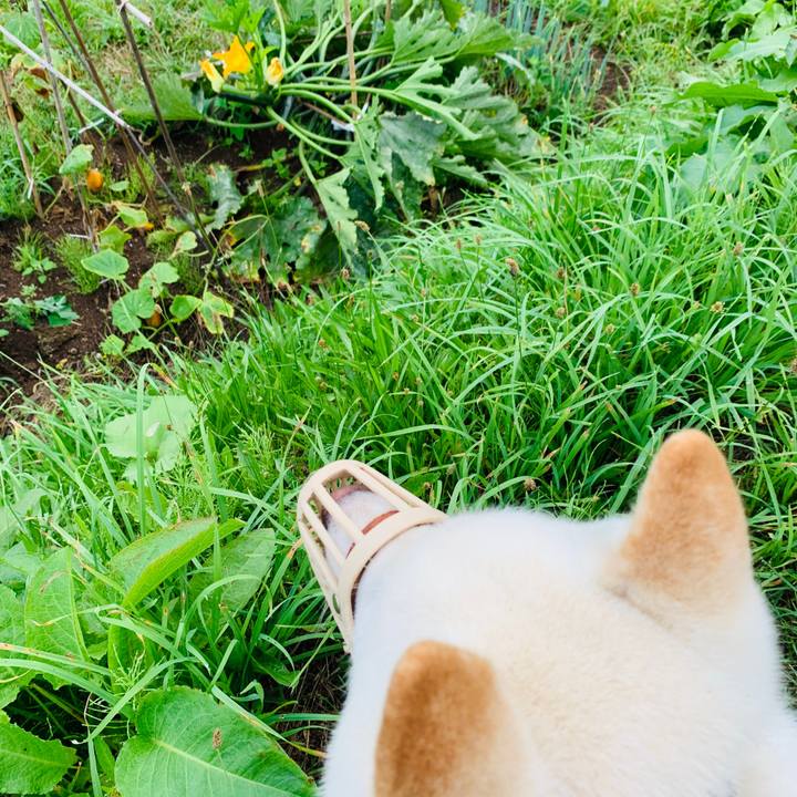 Ae21b7a0 0c62 4658 9726 3dcb1f2b3606 1565472760514