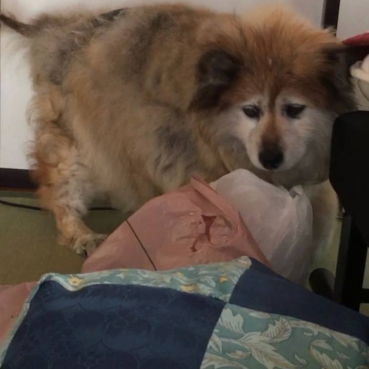 Ae220fac 07ac 4066 a324 7f3898a17eed 1604115478614