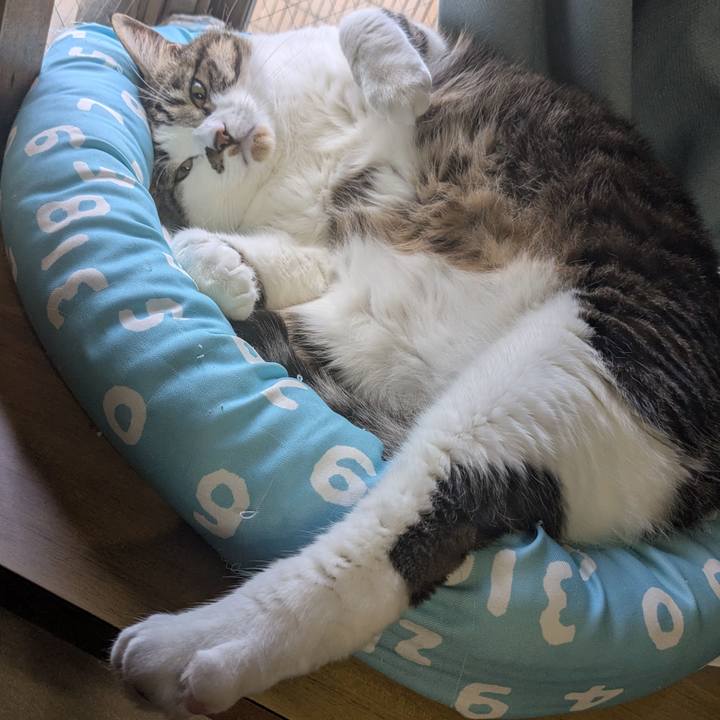 Ae221242 7d0b 45c3 8fe3 4e71829e83a1 1746916823110