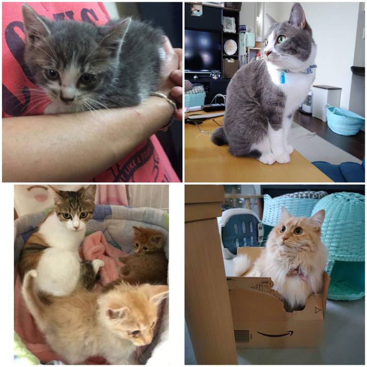 Ae22199f fbde 4d4d 9224 7a86f977640d 1685016440664