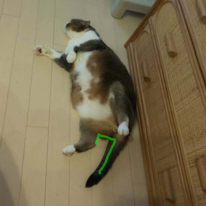 Ae2223ed 17f7 45ef a5be ce0677f04c45 1687905541093