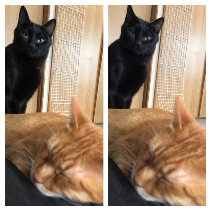 Ae22254d a9bb 4a8b 96b4 a8b9fb2500eb 1671316253739