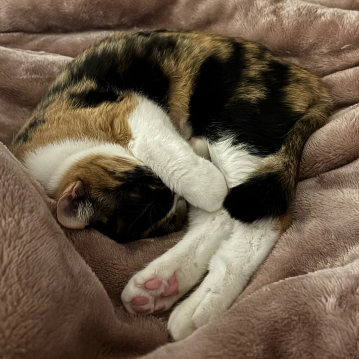 Ae225fa5 dece 40ef a007 7d3f03a1a73b 1772099255728