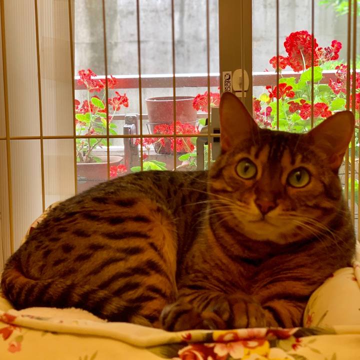 Ae228908 177e 48d9 9df7 f3ae2f383a79 1559525581423