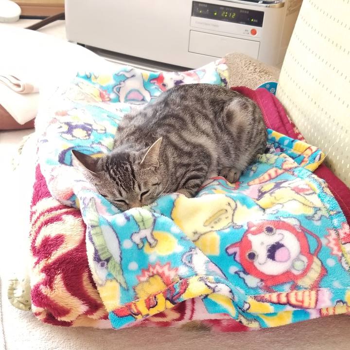 Ae22977c 39bd 402b b1c7 17bba629465f 1676468834160