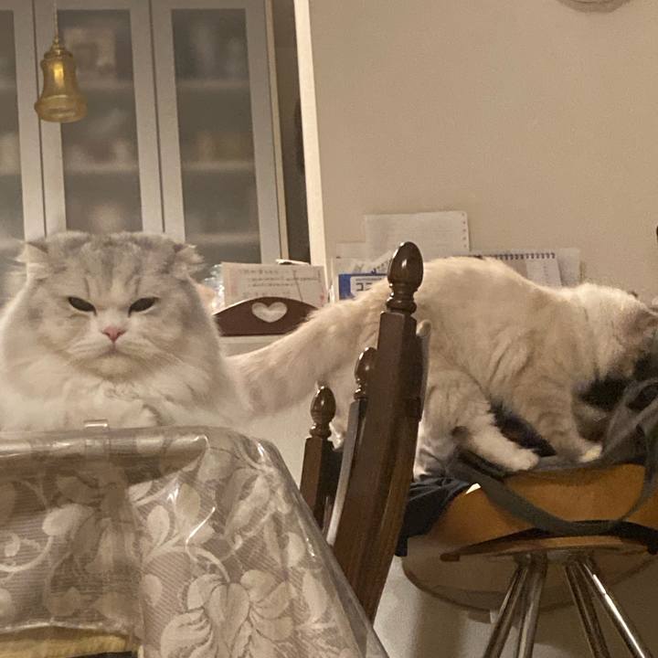 Ae22cdc5 1c4c 4b54 ae71 45f386d2a28b 1674827355200