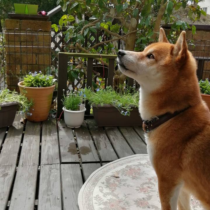 Ae22e446 5e3c 4fbd a753 aa0923a781dc 1583721013794