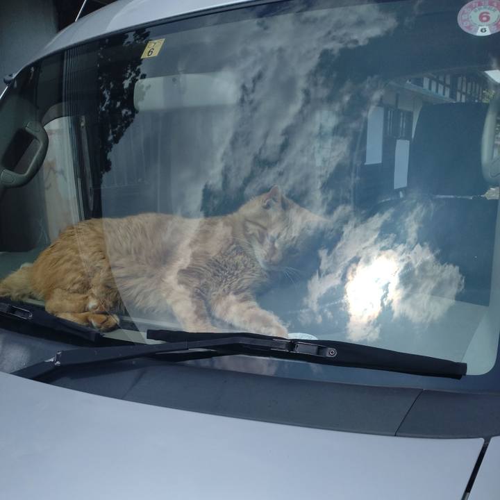 Ae230dc4 fca9 4cbd b0cc c465ebe583f0 1749028796622