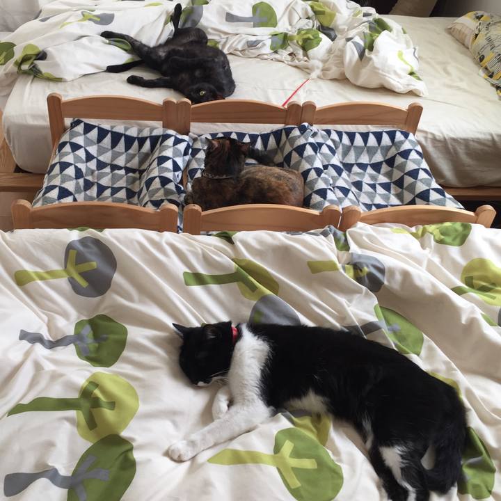 Ae232a67 1a96 4a00 a7dd ad3874df3a50 1536926270296