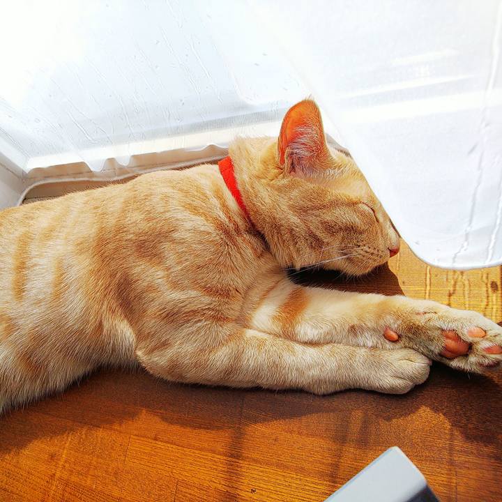 Ae237107 4102 4a57 af11 e638f7a18168 1553388449259