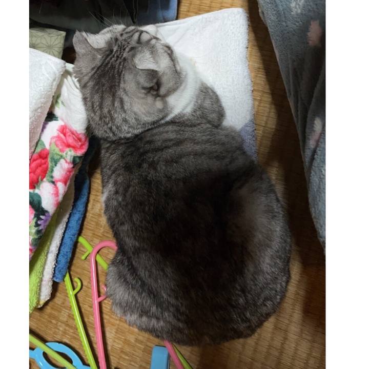 Ae238994 6db2 4cd1 bb1c 5ed4553ba51b 1651012104502