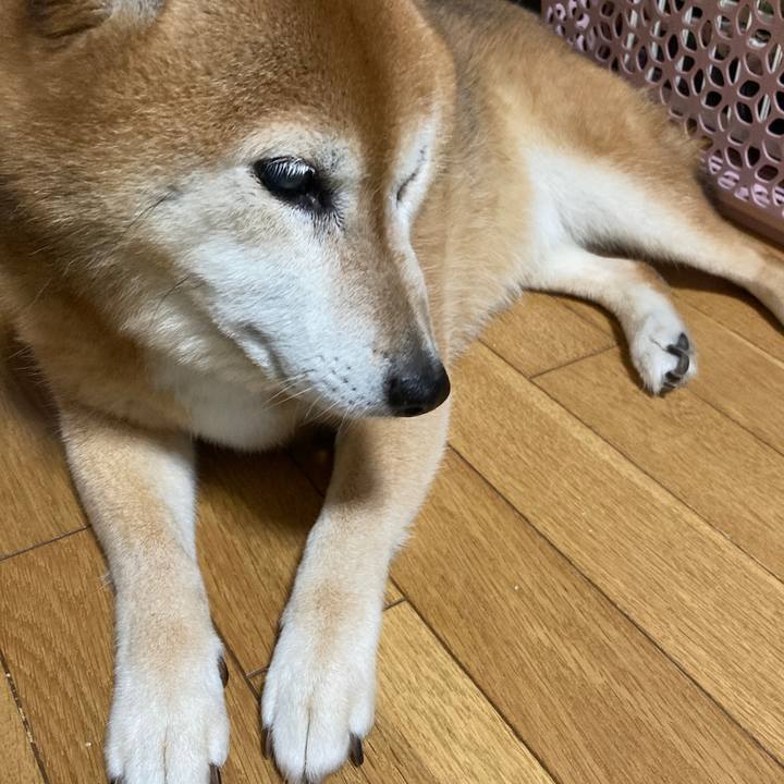 Ae239590 c32a 473d 96a9 13f00370c4d5 1688189606670