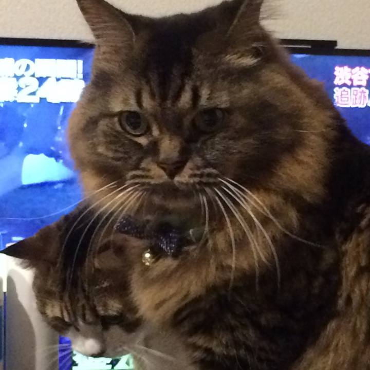 Ae23a807 8b2d 4e15 bad3 5822475251e5 1514772472870