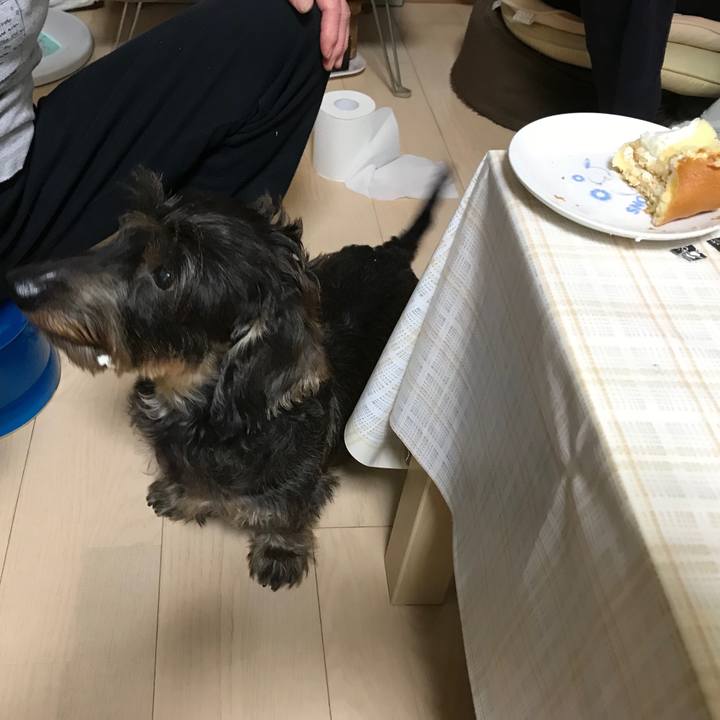 Ae23b568 79bf 411f 8874 540f59e8356d 1540026720737