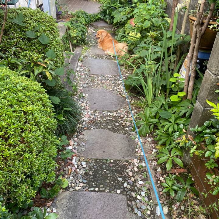 Ae23cd3e ffc6 4b66 a4c5 d01283f90780 1596926446349