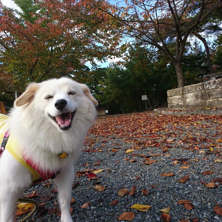 Ae23d79a 886c 47fe a6a8 abd39f7f31f3 1550405914780