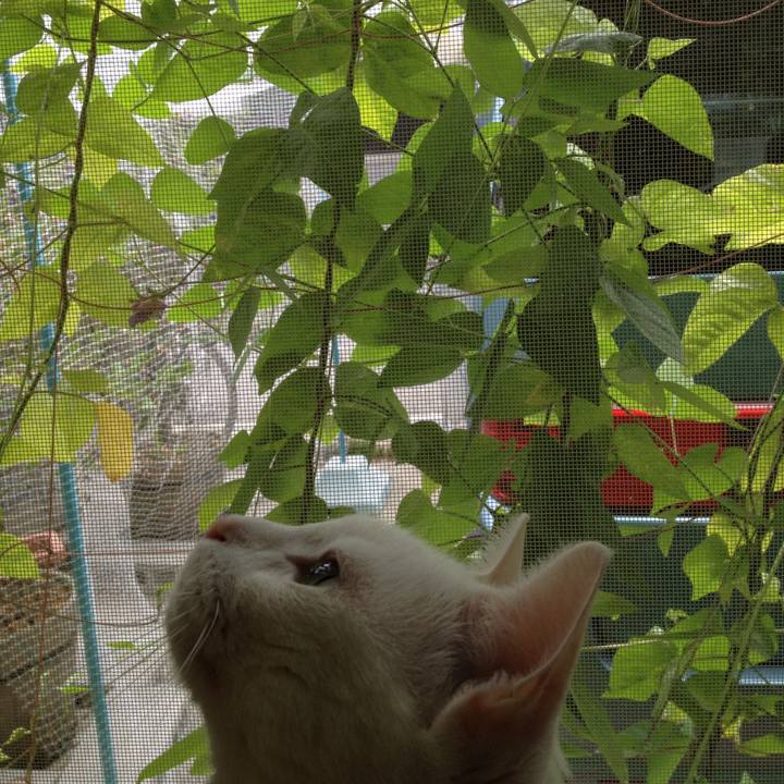 Ae241072 c7c9 4b88 80a6 2de007767149 1763193549354