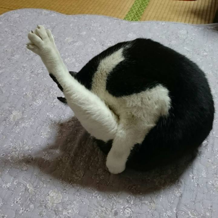 Ae241179 b3c1 4289 9041 4ce213ad95b8 1521876119106