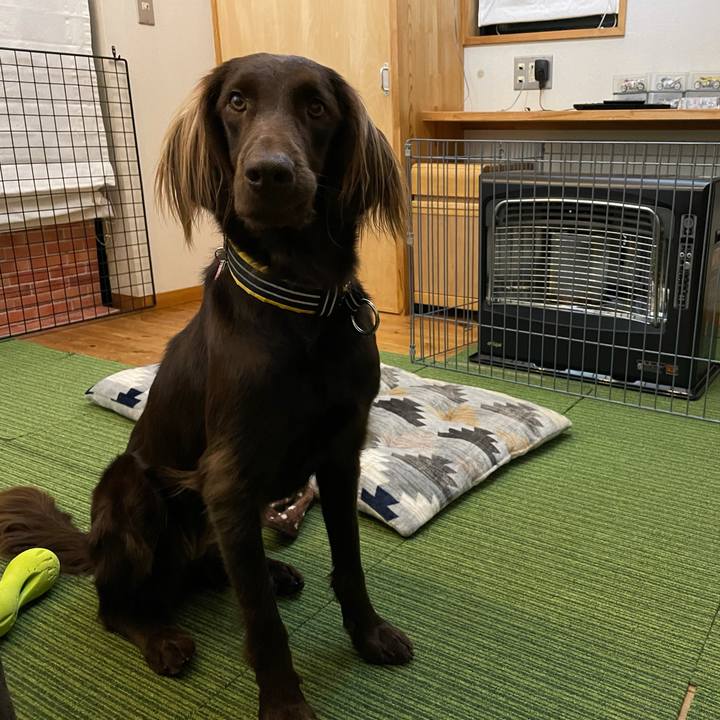 Ae24171d 8358 47fd 9437 b3eca6943e26 1611398226304