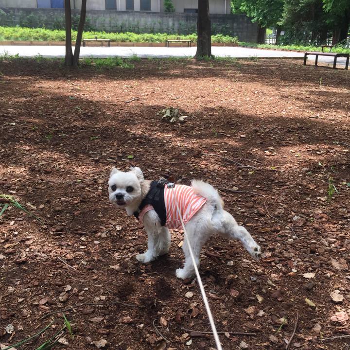 Ae241ee1 0753 4224 b8d2 ae4e8eb18023 1527252113288