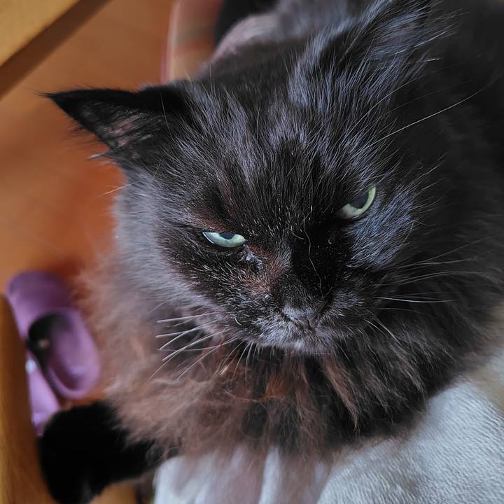 Ae24238c 1e73 40f0 8573 94223bd71719 1730850067504