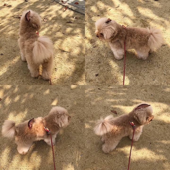 Ae243176 fab7 4698 85aa 3f46521f0416 1540553527132