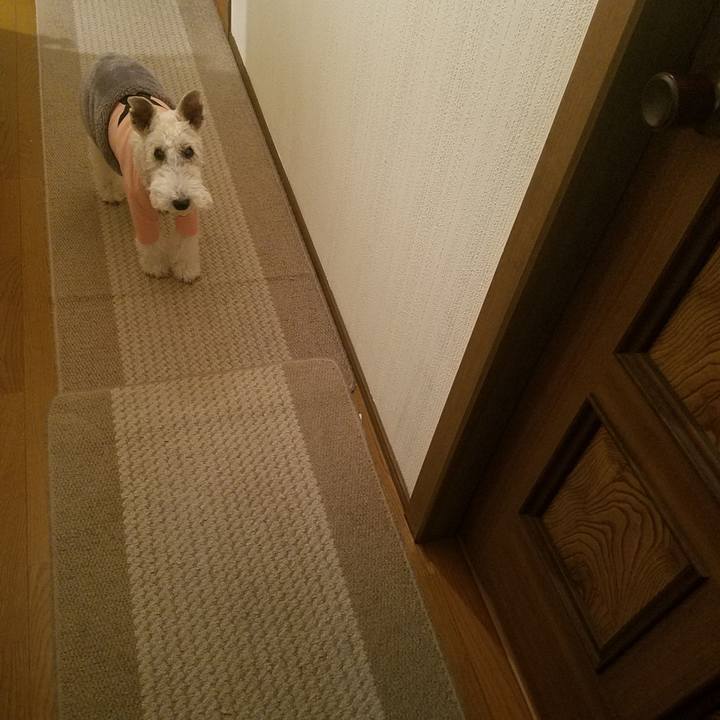 Ae24363f 668b 4af3 b82f 5f0159416061 1578497159867