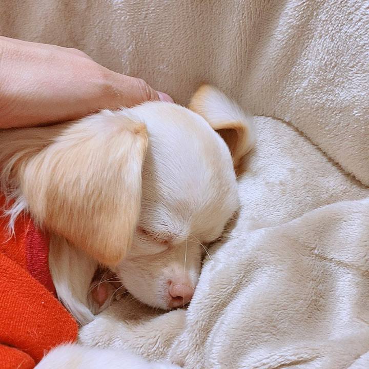 Ae248b72 a603 468e bb51 9436e2d14784 1607677621056