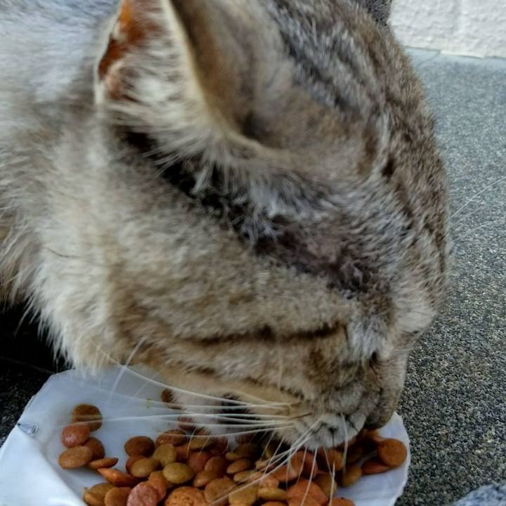 Ae2520f1 fa03 4262 8f5f 291de292d2ac 1657119078529