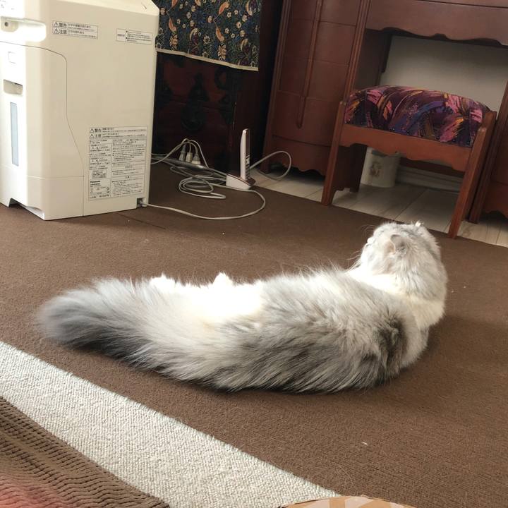 Ae253138 1676 4490 8ecf 530d8619b29d 1626558935991