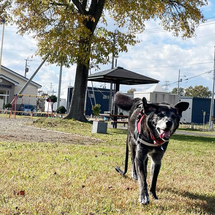 Ae254545 15c1 49f5 b4c3 c9fe91ff81e0 1761191349130