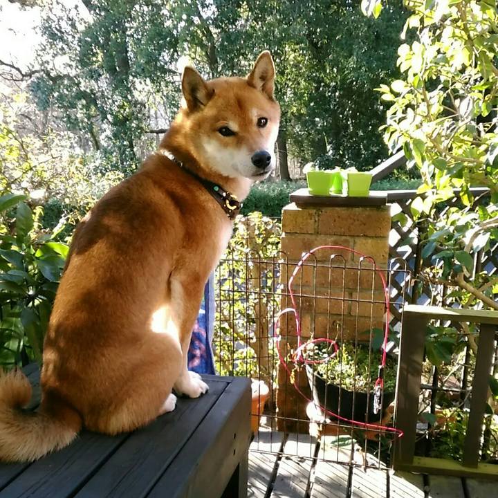 Ae255f08 3aea 45c8 b1a1 67742cacc9ee 1579140896747