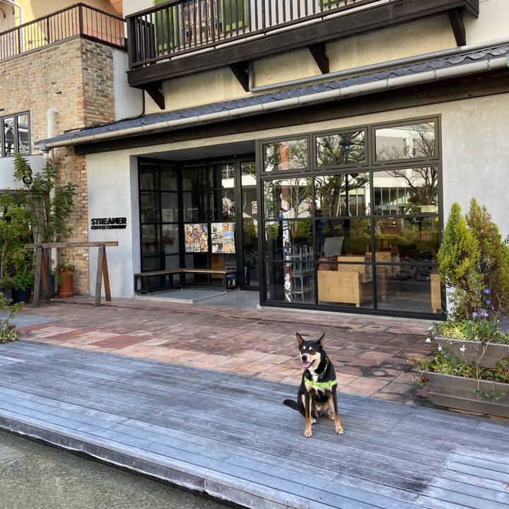 Ae257707 4ff9 4aac b974 05c5a36c753a 1586052758018