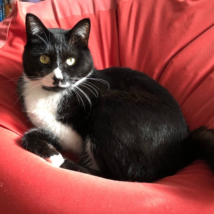 Ae25ac1c d842 45b3 b5a2 870c47777a7c 1635477243330