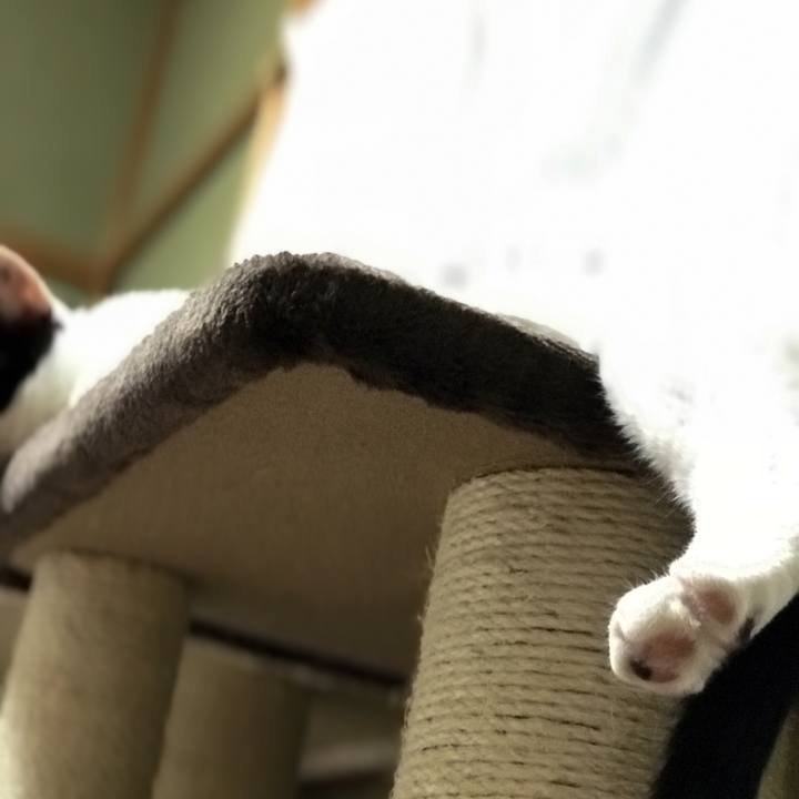 Ae25c3e3 3bfd 4ebd 87d4 6fb0deefd087 1527731702714