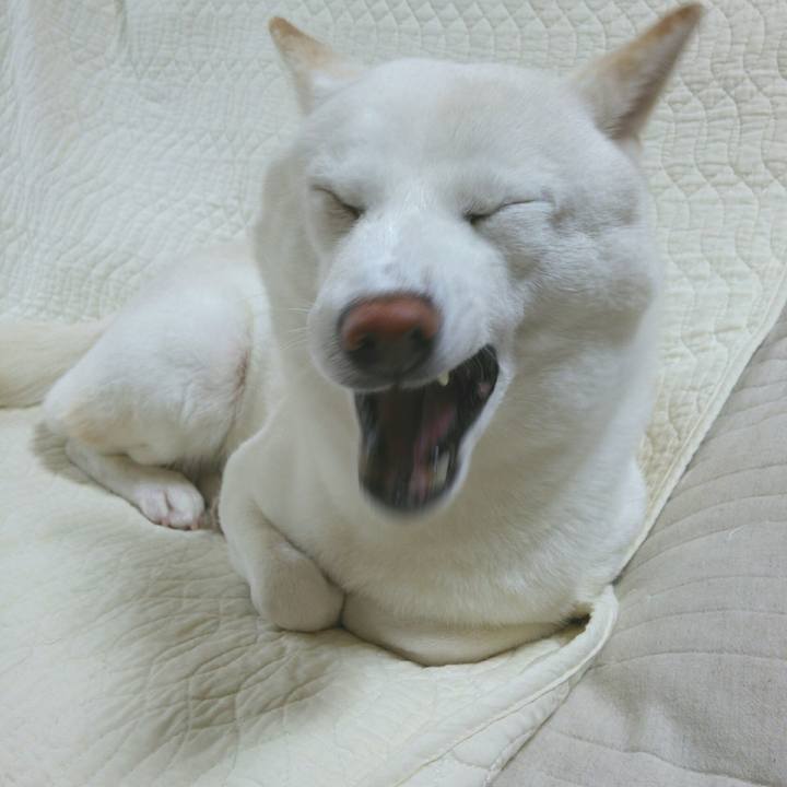 Ae25f477 7c19 4581 b87b 30121564c03a 1563368390569