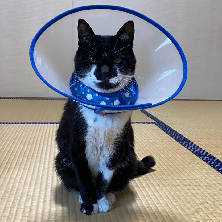 Ae2612c2 8a8c 4bc7 991e fb05747ba29a 1645443740683