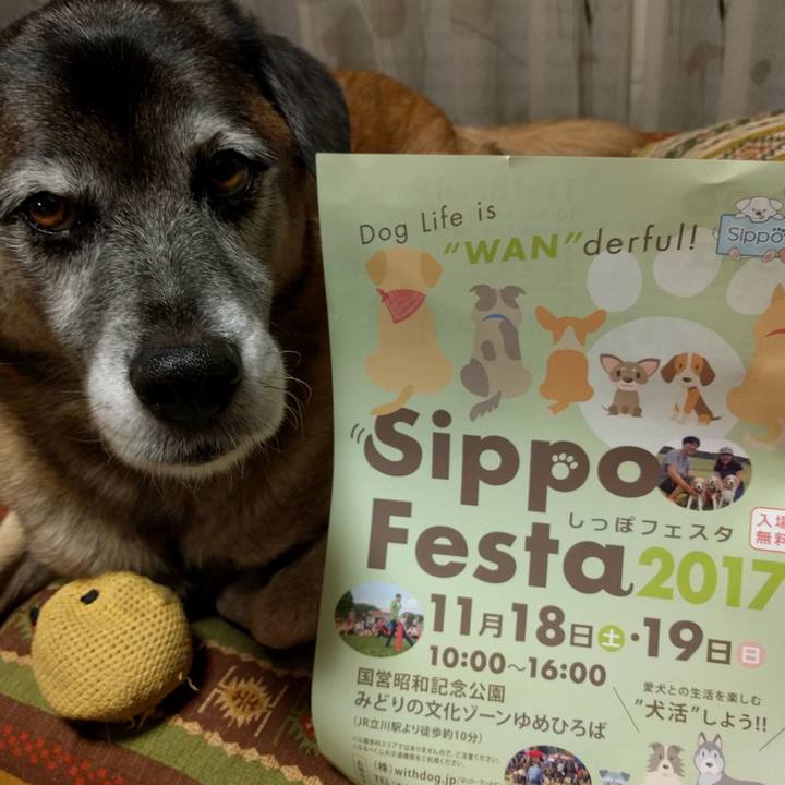 Ae263cdc 8488 497e a8ee 013038dedbb4 1510653935755