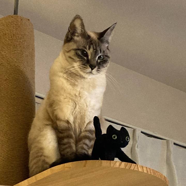 Ae26425b dbca 402f bbe4 3933dc115ecc 1676032593114