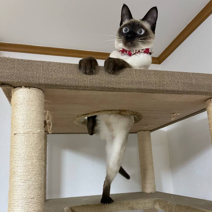 Ae2676c8 58de 470e 8ad5 262792a89bea 1706123551835