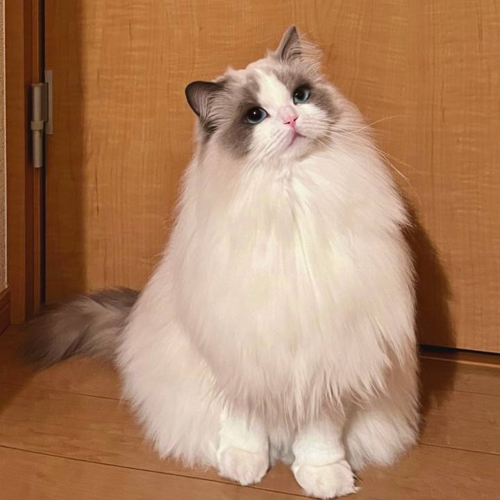 Ae26b772 1be4 4861 91fb 14f8d5a03fff 1640953653894