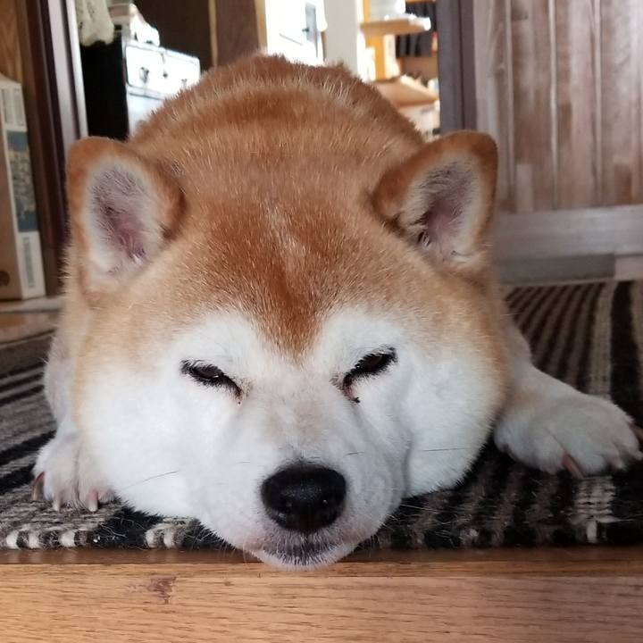 Ae26b927 ffb4 480f 9e62 b052b4348a51 1624834548978